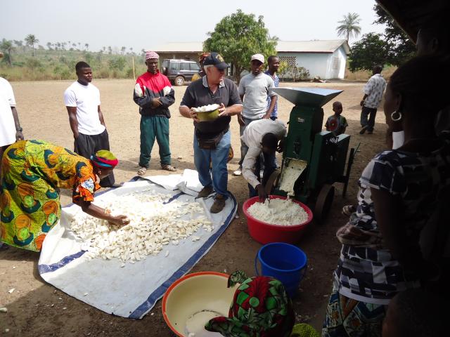 Cassava Processing